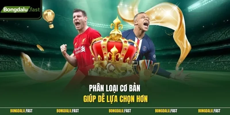 Phân loại cơ bản giúp dễ lựa chọn hơn