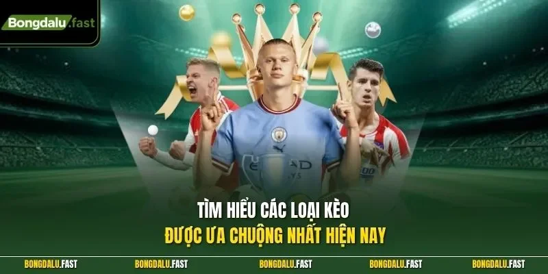 Tìm hiểu các loại kèo được ưa chuộng nhất hiện nay