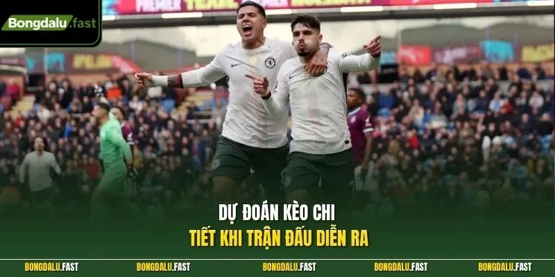 Dự đoán kèo chi tiết khi trận đấu diễn ra