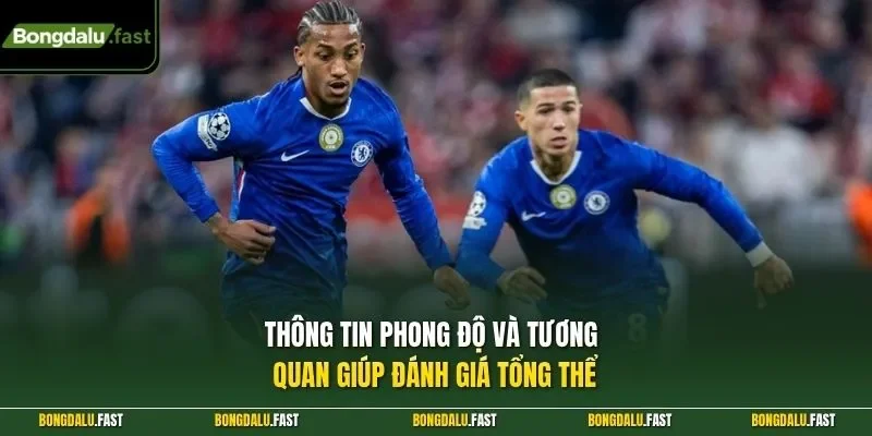 Thông tin phong độ và tương quan giúp đánh giá tổng thể